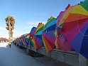 Kids_FLTrip-TPA (39)